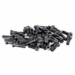 Rayons BMX Blank PG (arc-en-ciel) -Promos SUPPORTS VÉLO Boutique Blank PG BMX Spokes Rainbow Spokes Rainbow NotSet 2